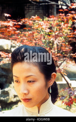 XIAO CHENG ZHI CHUN aka SPRINGTIME IN A SMALL TOWN JINGFAN HU     Date: 2002 Stock Photo