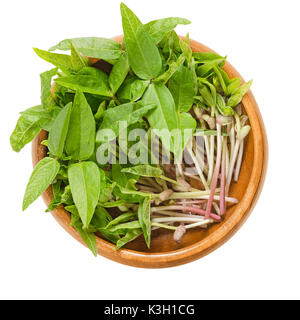 Mung bean microgreens in wooden bowl. Cotyledons of Vigna radiata, also called moong bean, green gram or mung. Young plants, seedlings and sprouts.