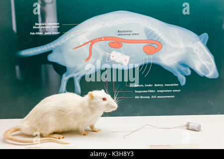 Germany, Bavaria, Munich, Deutsches Museum, Exhibit of Animal Testing Stock Photo