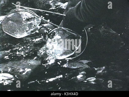 THE TEXAS CHAINSAW MASSACRE      Date: 2003 Stock Photo