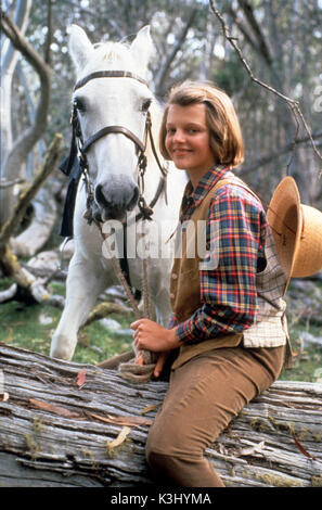 THE SILVER BRUMBY AMIEL DAEMION     Date: 1993 Stock Photo