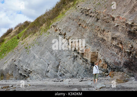 Joggins Fossil Cliffs, Nova Scotia, Canada Stock Photo