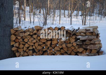 Stacked fire wood pile in winter in the forest Stock Photo