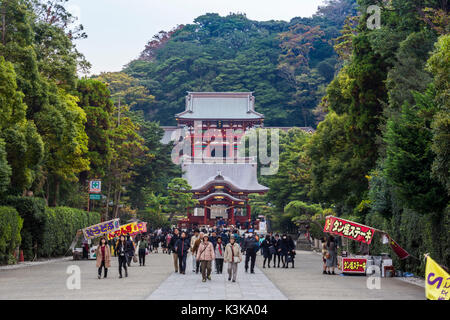 Japan, Kamakura City, Tsurugaoka Hachimangu  Shrine Stock Photo