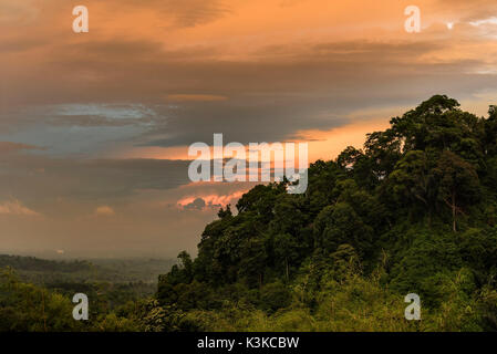 magnificently tropical sundown about the jungle at Bukit Lawang, Gunung Leuser national park. Stock Photo