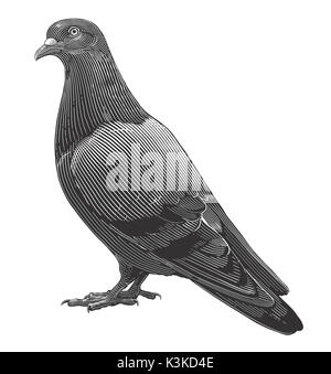 Dove in woodcut style Stock Photo