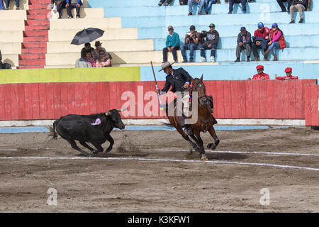 June 18, 2017, Pujili, Ecuador: bullfighter on horseback is getting chased by a bull in the arena Stock Photo