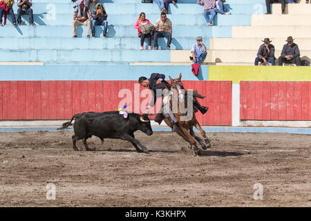 June 18, 2017, Pujili, Ecuador: a bullfighter riding his horse in the arena leaning towards the bull Stock Photo