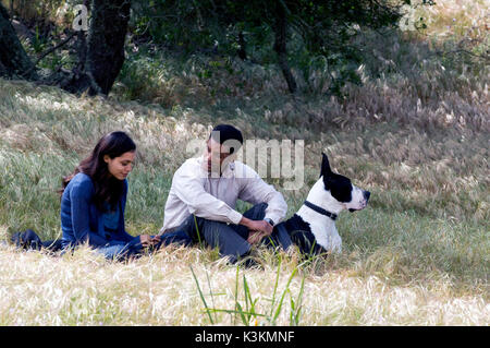 SEVEN POUNDS ROSARIO DAWSON, WILL SMITH        Date: 2008 Stock Photo