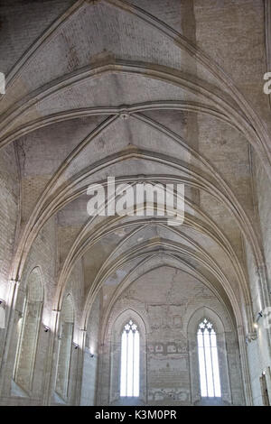 Chapel ceiling in the Palais de Pape, Avignon France Stock Photo