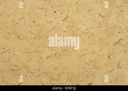 Beige banana paper sheet texture. Closeup. Macro Stock Photo