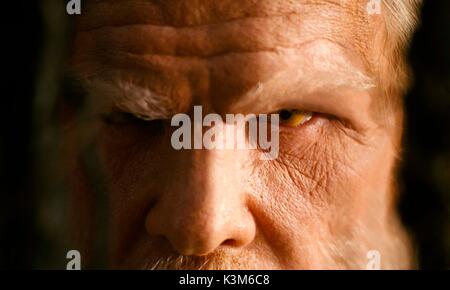 THE SPIDERWICK CHRONICLES NICK NOLTE THE SPIDERWICK CHRONICLES     Date: 2008 Stock Photo