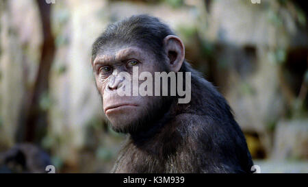RISE OF THE PLANET OF THE APES Caesar performed by ANDY SERKIS  RISE OF THE PLANET OF THE APES  Caesar performed by ANDY SERKIS       Date: 2011 Stock Photo