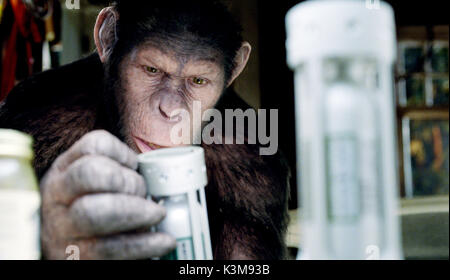 RISE OF THE PLANET OF THE APES Caesar performed by ANDY SERKIS  RISE OF THE PLANET OF THE APES  Caesar performed by ANDY SERKIS       Date: 2011 Stock Photo