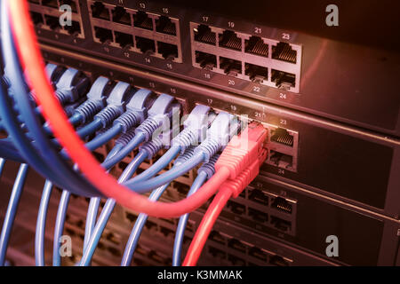 ethernet cable on network switches background Stock Photo