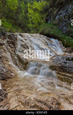 Val Fresca, Belluno Dolomites, Veneto, Italy Stock Photo