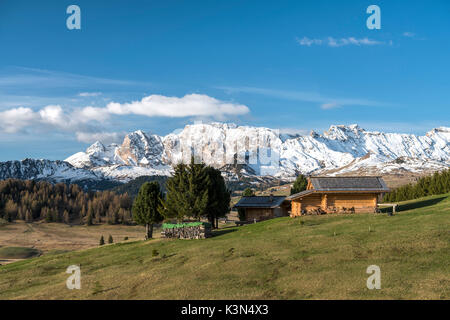 Alpe di Siusi/Seiser Alm, Dolomites, South Tyrol, Italy. Stock Photo