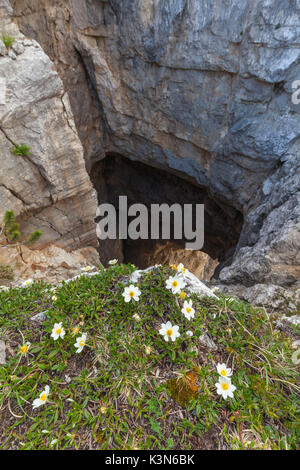 europe, North Italy, Veneto, Belluno, Monti del Sole, Dolomites. Bus de le neole (hole of the clouds) Stock Photo