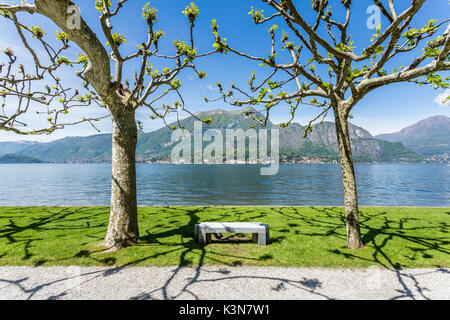 Bench in the gardens of Villa Melzi d'Eril in Bellagio, on the shores of Lake Como. Lombardy, Italy. Stock Photo