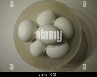 Bowl with six white chicken eggs, casts an interesting triplicate shadow, the eggs very white against a cream-colored bowl, full frame and unusual . Stock Photo