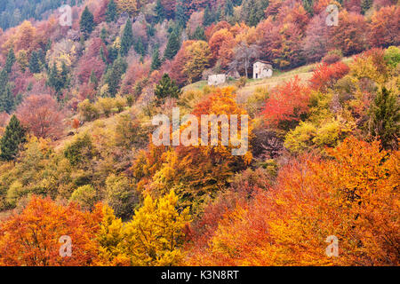 Magasa, Valvestino, Lombardy, Italy. A chalet into the Valvestino's woods in autumn Stock Photo