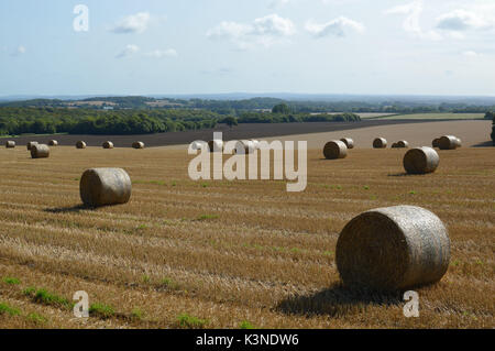Round hay bails in a West Sussex farm field during Summer Stock Photo ...