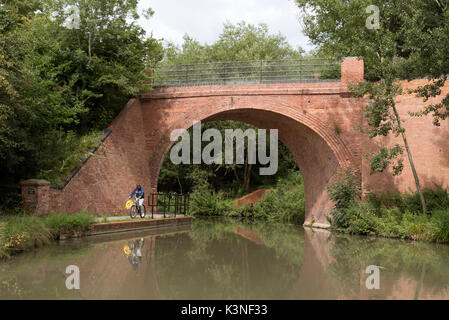 Beavan's Bridge at Westleaze Swindon UK. August 2017. Man riding a cycle on the towpath under the brick built bridge crossing the recently restored Wi Stock Photo