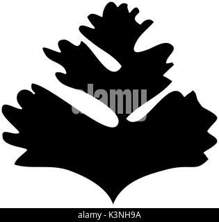 Parsley leaves silhouette icon vector illustration graphic design Stock Vector