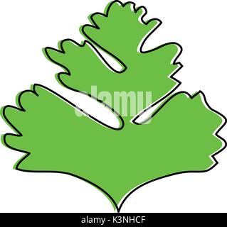 Parsley leaves silhouette icon vector illustration graphic design Stock Vector