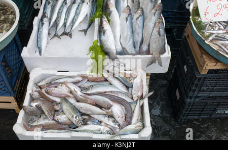 Mediterranean fish exposed in open market in Napoli Stock Photo