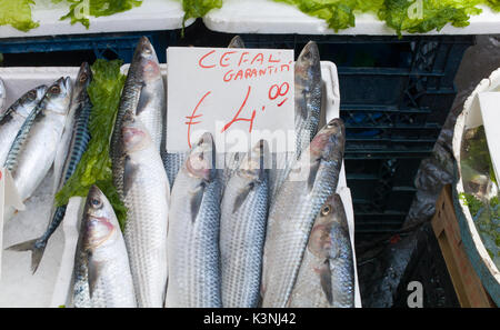 Mediterranean fish exposed in open market in Napoli Stock Photo