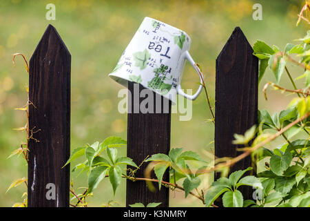 Ceramic Tea cup hanging on the wooden garden fence, Czech Republic wooden fence garden Stock Photo