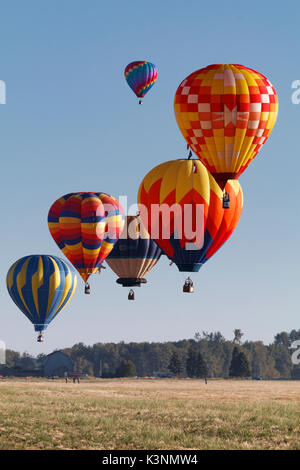 Colorful hot air balloons float through the sky in Albany, Oregon, USA. Stock Photo