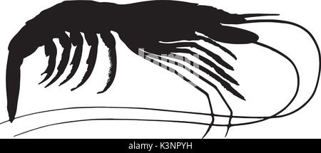 black and white silhouette of shrimp Stock Vector