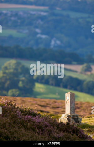 Offas Dyke Path and way marker in morning sunlight on the side of Moel Famau the highest point in the Clwydian Range Hills, North Wales, UK Stock Photo