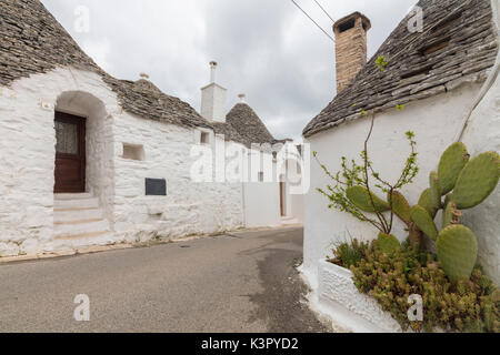The typical huts called Trulli built with dry stone with a conical roof Alberobello province of Bari Apulia Italy Europe Stock Photo