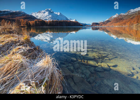 The snowy peaks and colorful woods are reflected in Lake Champfèr St.Moritz Canton of Graubünden Engadine Switzerland Europe Stock Photo