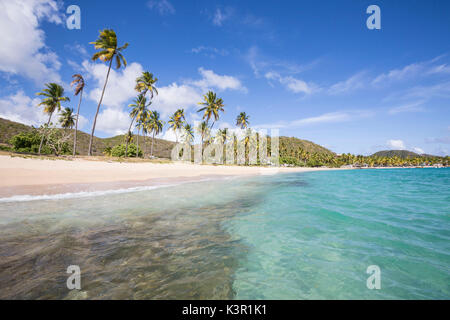 The long beach surrounded by palm trees and the Caribbean Sea Carlisle Morris Bay Antigua and Barbuda Leeward Island West Indies Stock Photo
