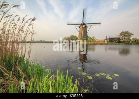 Green grass frames the windmills reflected in the canal Kinderdijk Rotterdam South Holland Netherlands Europe Stock Photo