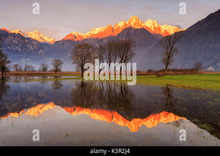 Natural reserve of Pian di Spagna  flooded with snowy peaks reflected in the water at sunset  Valtellina Lombardy Italy Europe Stock Photo