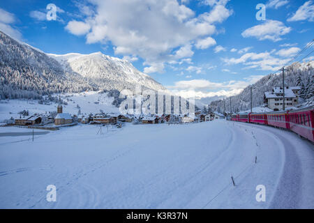 Filisur Pass Bernina Express passes through the snowy woods Filisur Canton of ...