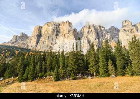 Colorful woods in autumn at Sella Pass. Dolomites Fassa Valley Trentino Alto Adige Italy Europe Stock Photo