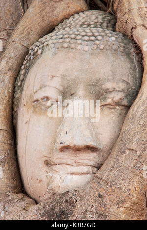 Buddha Head in the Wat Maha That temple in Ayutthaya, Thailand Stock Photo