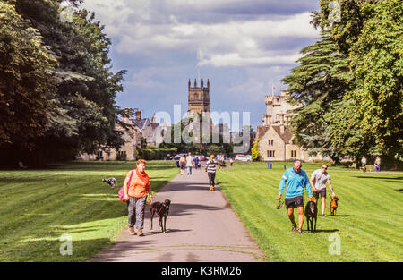 Dog walkers in Cirencester Park (highly popular walker land) on the Bathurst Estate. St John Baptist Church and period buildings behind. England, UK. Stock Photo