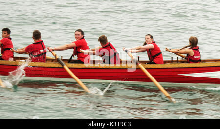 Newquay, Cornwall, UK. 03rd Sep, 2017. Heritage Gig rowing Ladies Championships,  Newquay, Cornwall, UK. Credit: Robert Taylor/Alamy Live News Stock Photo