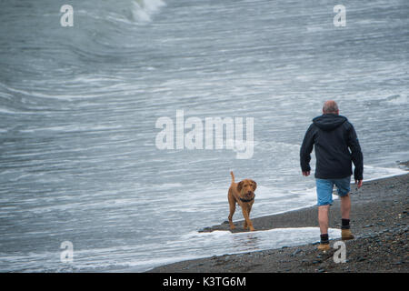 Aberystwyth Wales UK, Monday 04 September 2017 UK Weather: A man walking his dog along the desterted beach on a dull, misty and humid morning, with drizzle and rain in Aberystwyth Wales photo Credit: Keith Morris/Alamy Live News Stock Photo