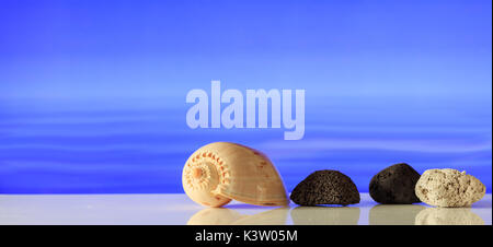 Pumice stones and a seashell on blue sea background Stock Photo