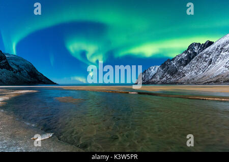 Northern lights in the night sky over Ersfjord Beach. Ersfjord, Ersfjorden, Senja, Norway, Europe. Stock Photo