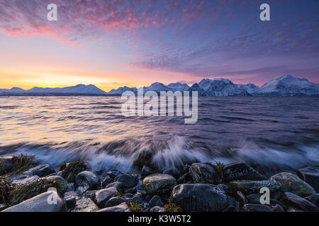 The waves breaking on the stones beach during sunset. Nordmannvik, Kafjord, Lyngen Alps, Troms, Norway, Lapland, Europe. Stock Photo