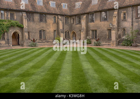 Green College Yard at Queen's College in Cambridge Stock Photo